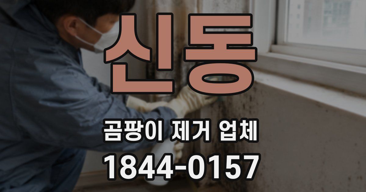 신동 곰팡이 제거 업체