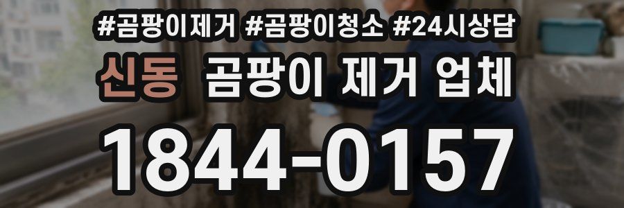 신동 곰팡이 제거 업체