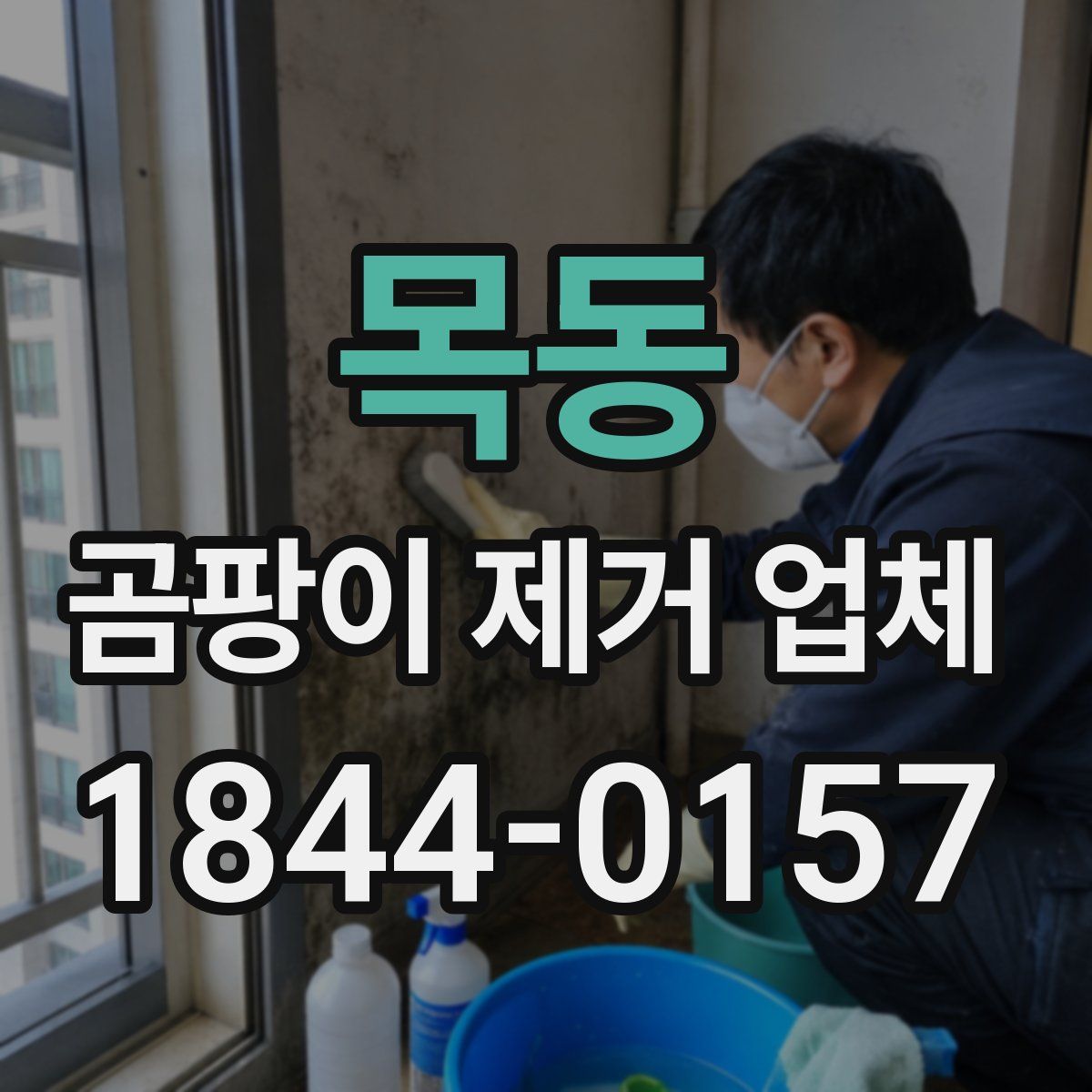 목동 곰팡이 제거 업체