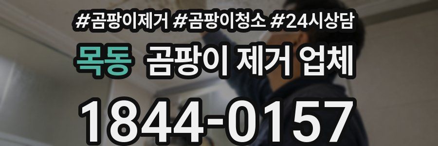 목동 곰팡이 제거 업체
