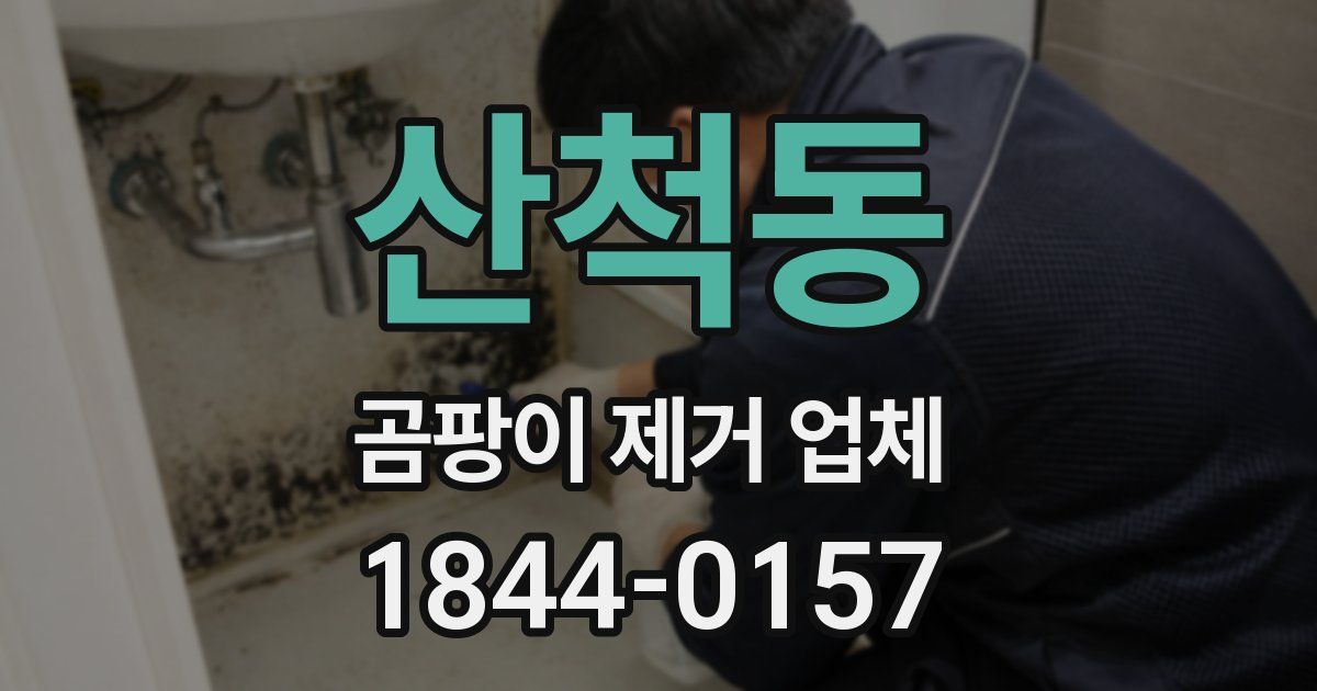 산척동 곰팡이 제거 업체
