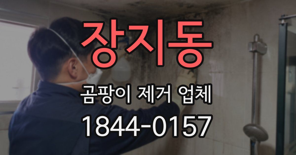 장지동 곰팡이 제거 업체