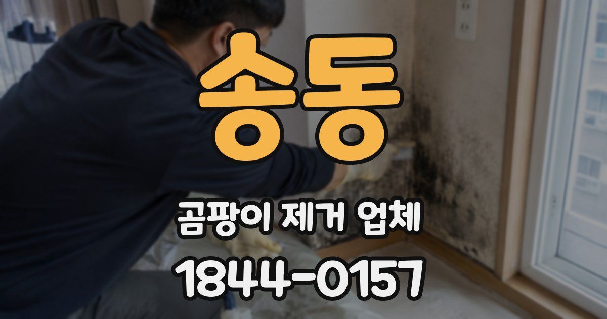 송동 곰팡이 제거 업체