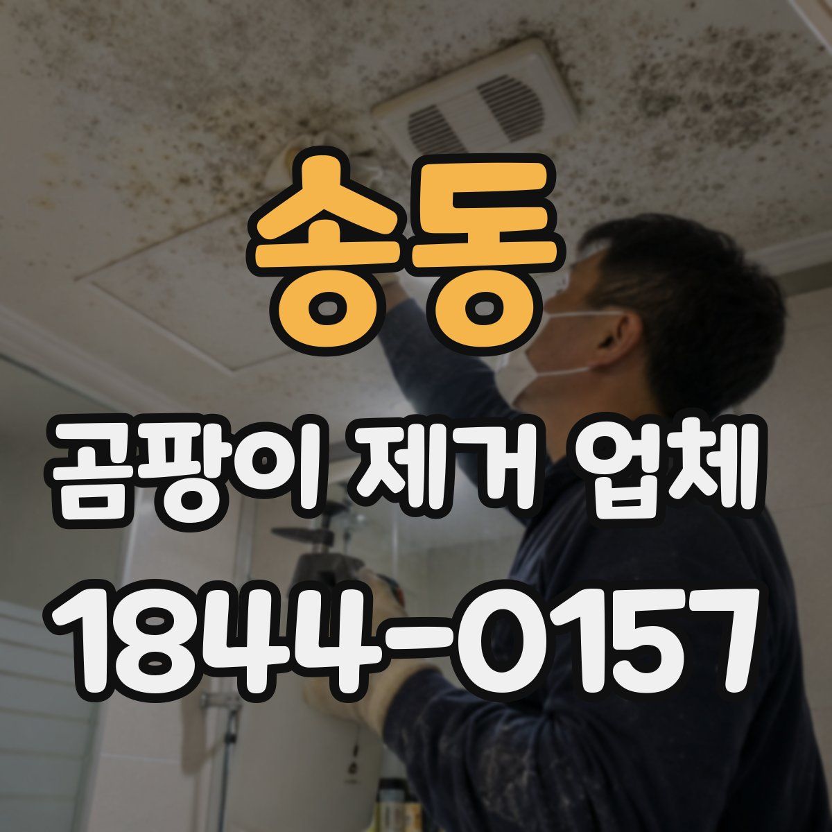 송동 곰팡이 제거 업체