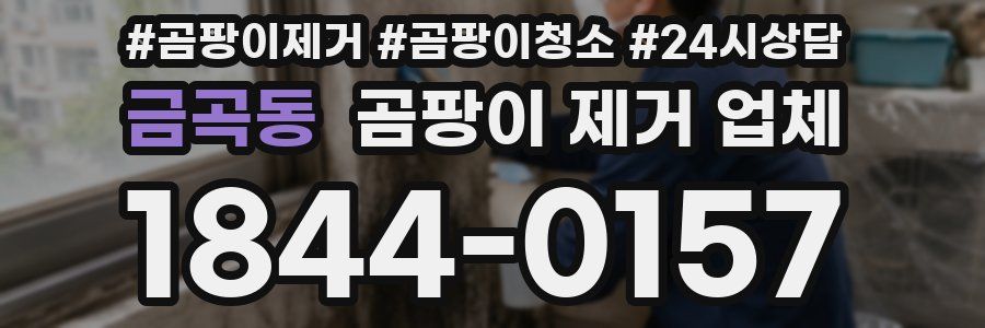 금곡동 곰팡이 제거 업체