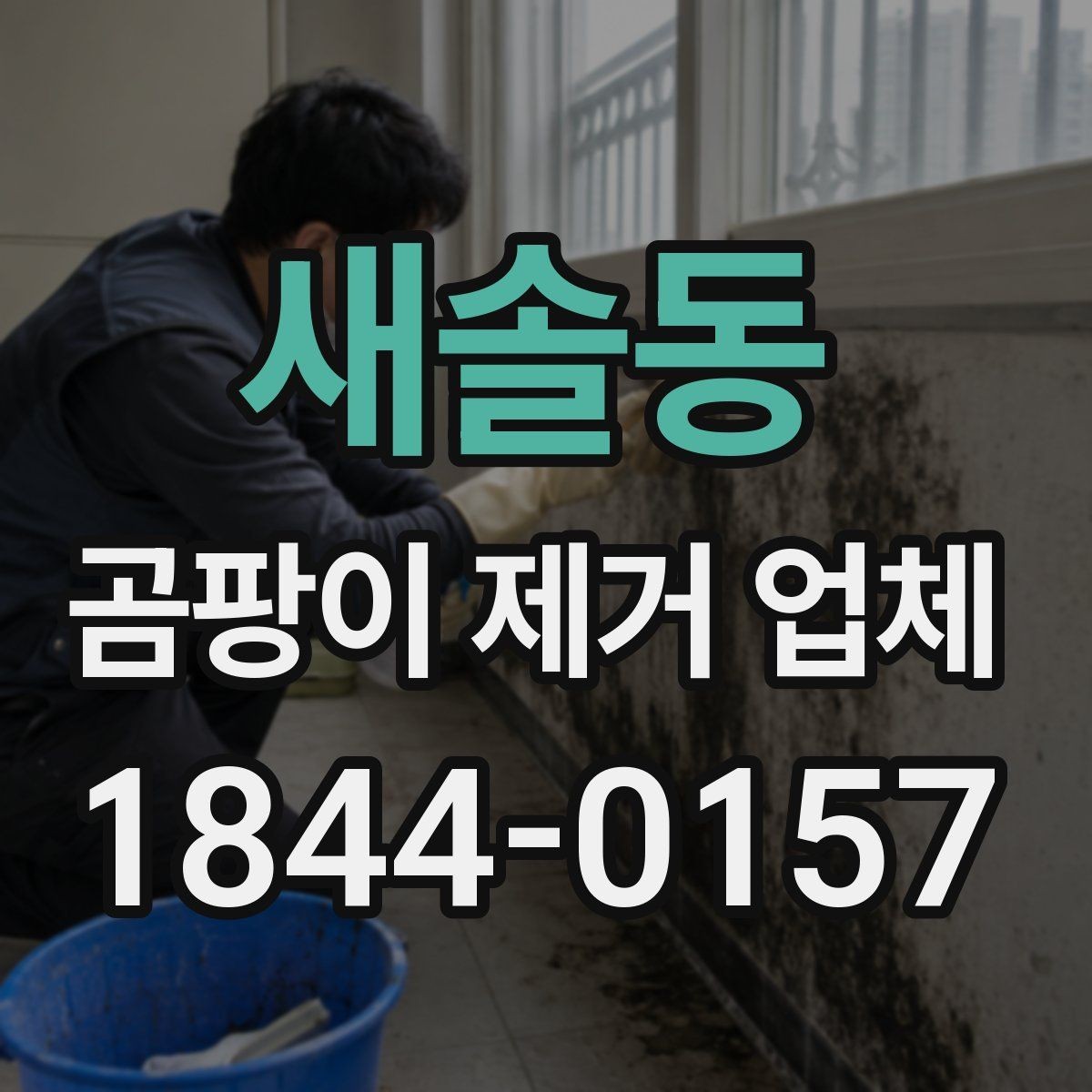 새솔동 곰팡이 제거 업체 습기 많은 공간에서 먼저 확인하는 점검 순서