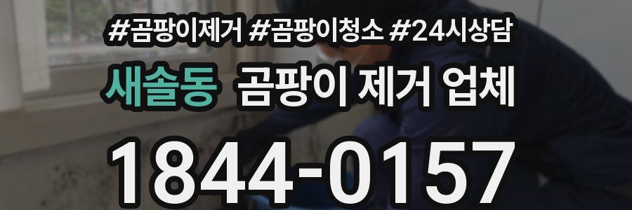 새솔동 곰팡이 제거 업체