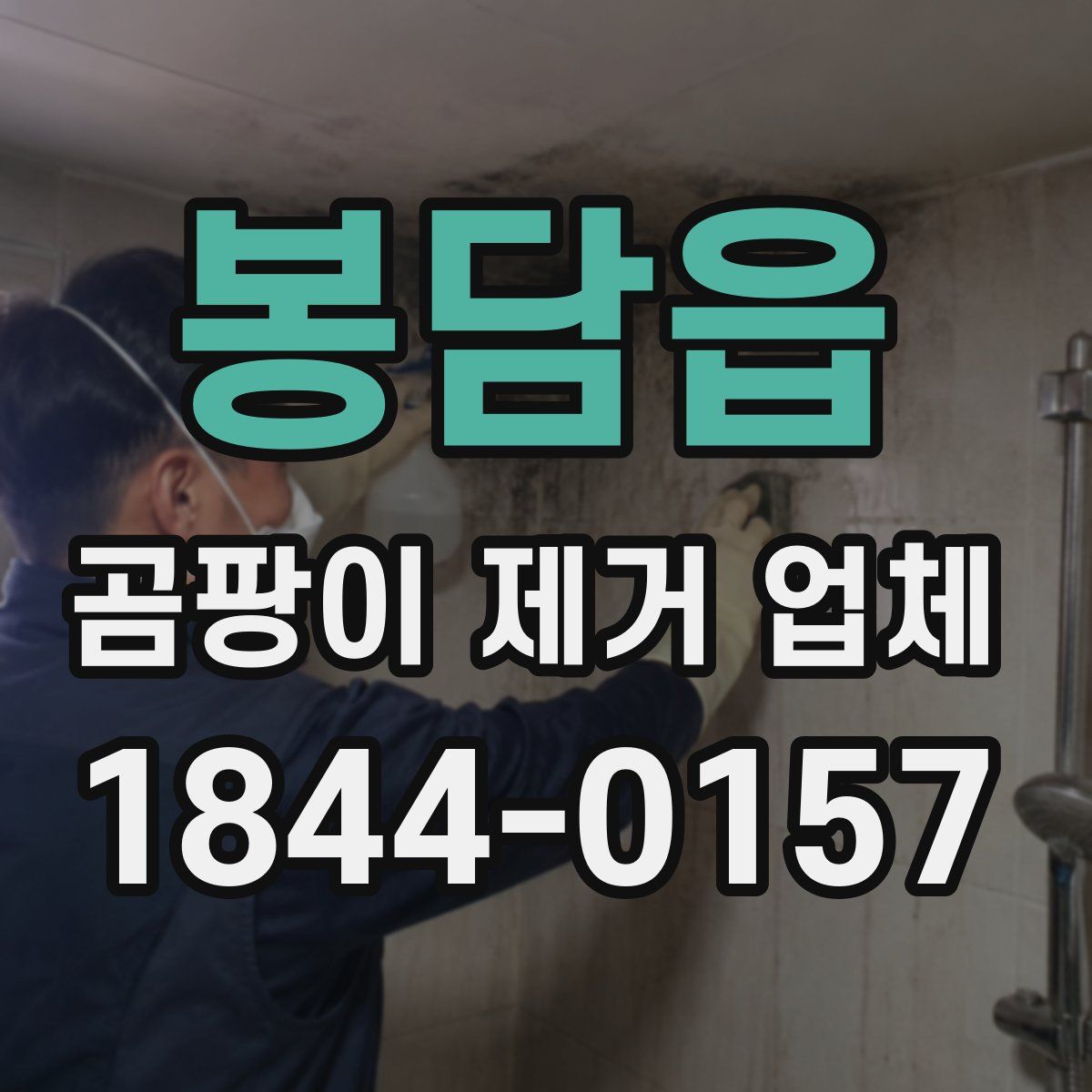 봉담읍 곰팡이 제거 업체