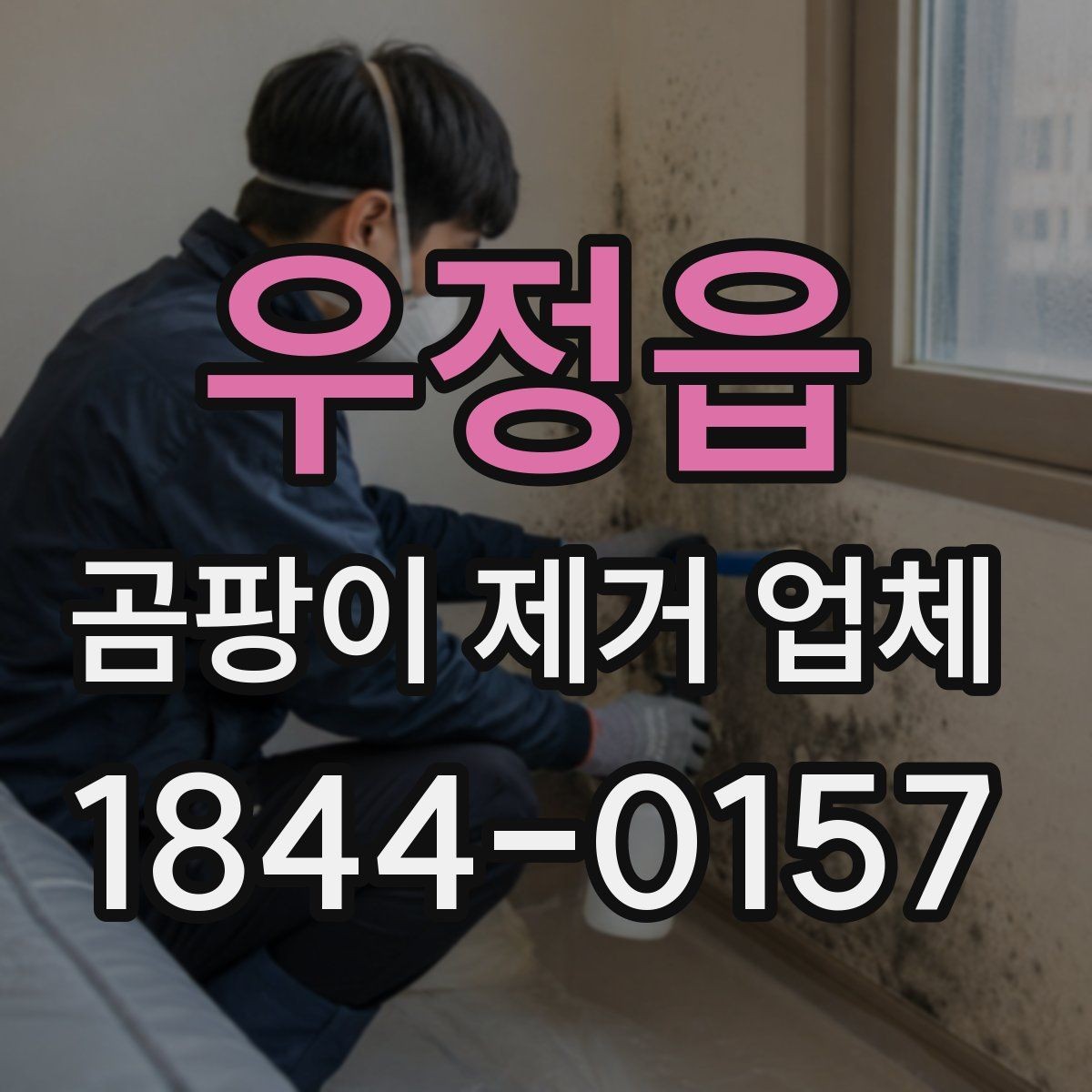 우정읍 곰팡이 제거 업체 곰팡이 원인이 남아 있으면 다시 생기는 이유