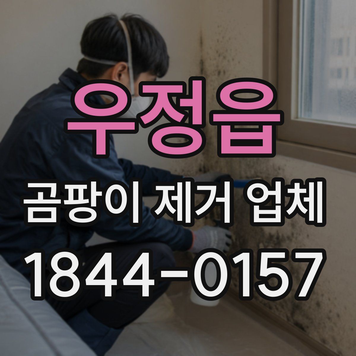 우정읍 곰팡이 제거 업체