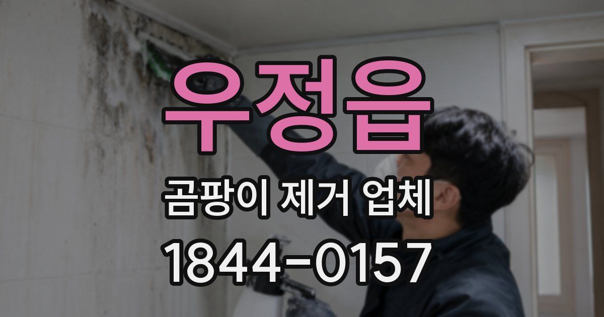 우정읍 곰팡이 제거 업체