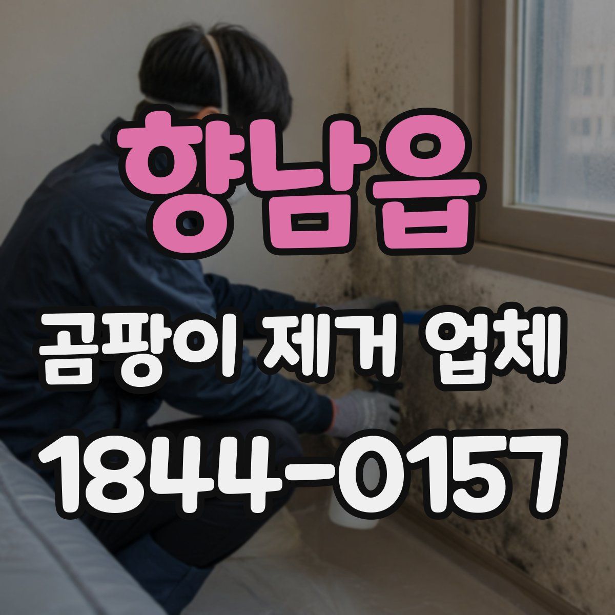 향남읍 곰팡이 제거 업체