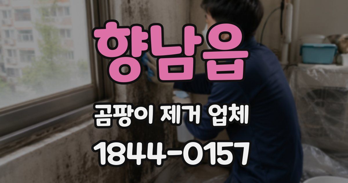 향남읍 곰팡이 제거 업체