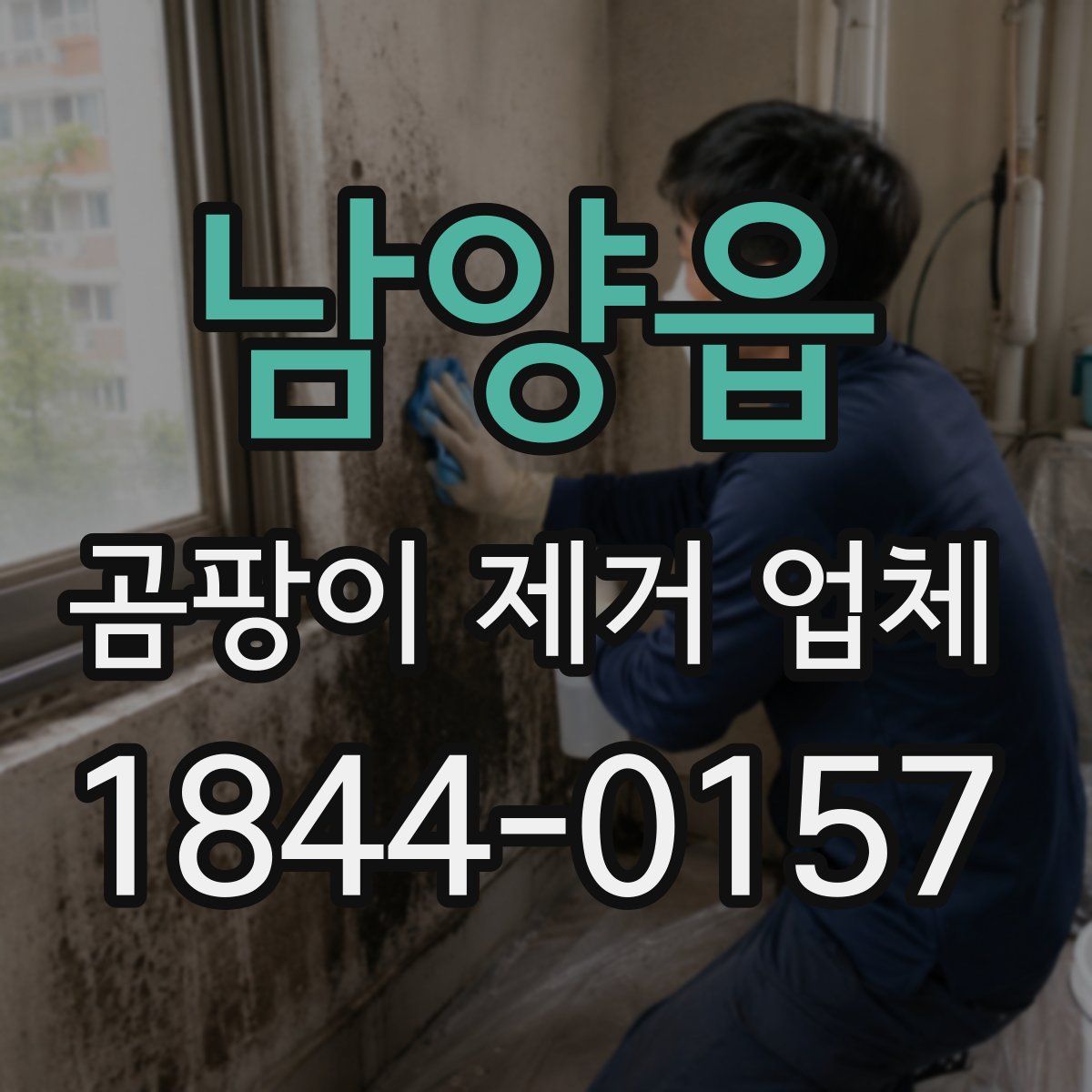 남양읍 곰팡이 제거 업체