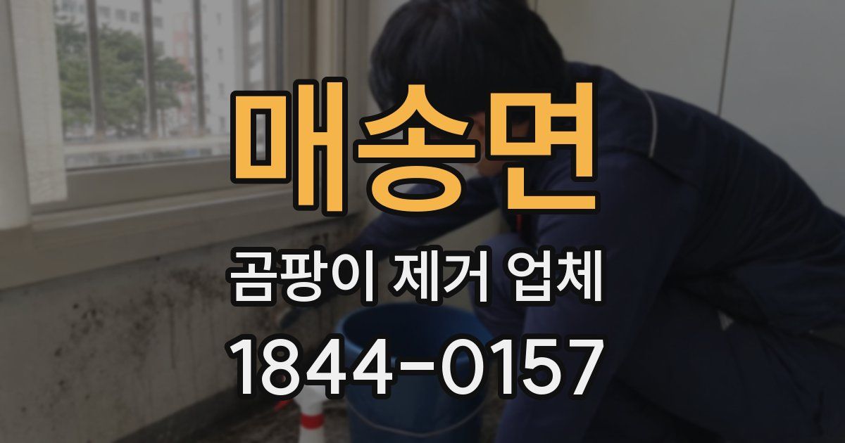 매송면 곰팡이 제거 업체