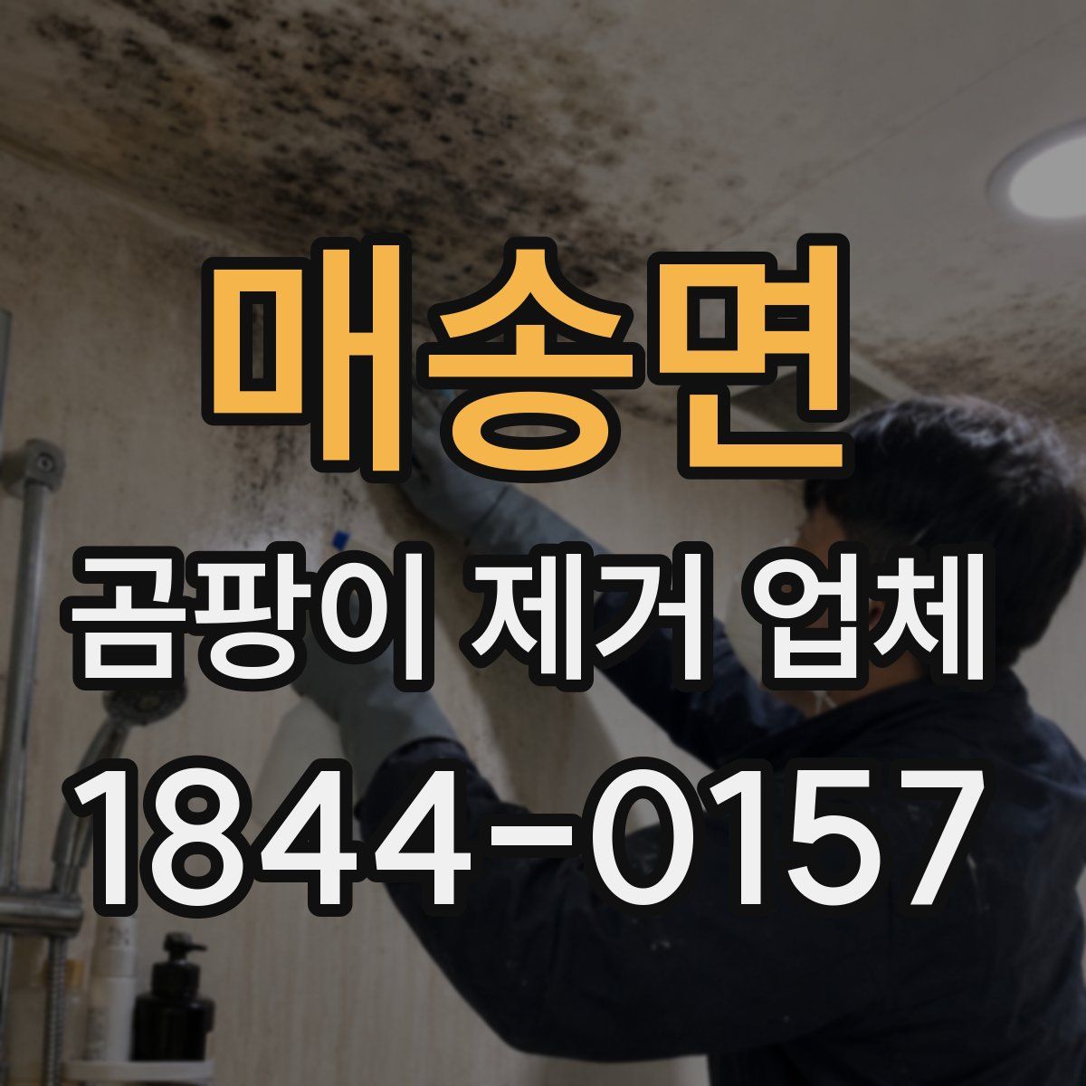매송면 곰팡이 제거 업체