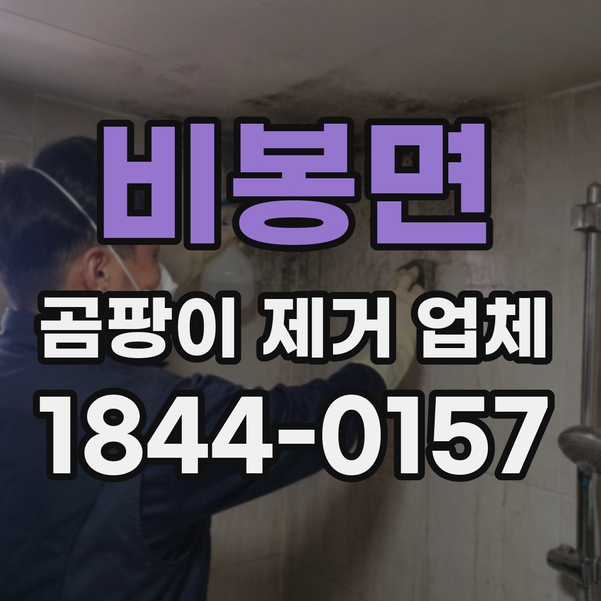 비봉면 곰팡이 제거 업체