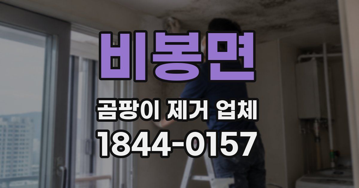 비봉면 곰팡이 제거 업체