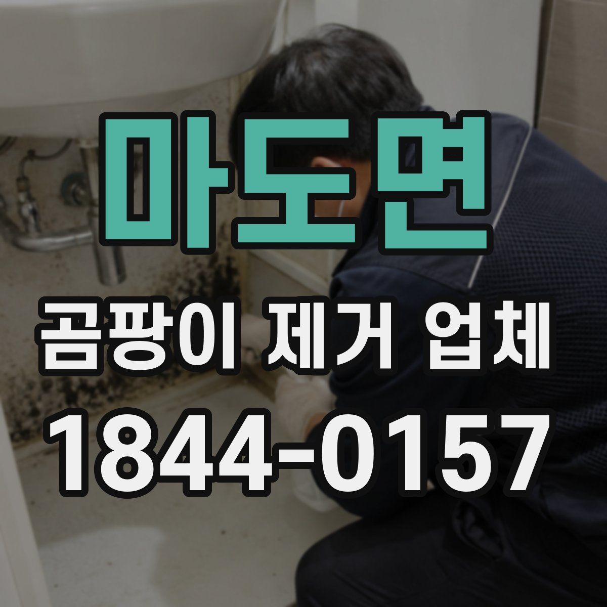 마도면 곰팡이 제거 업체