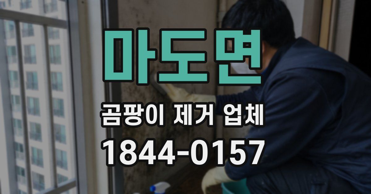 마도면 곰팡이 제거 업체
