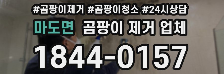 마도면 곰팡이 제거 업체