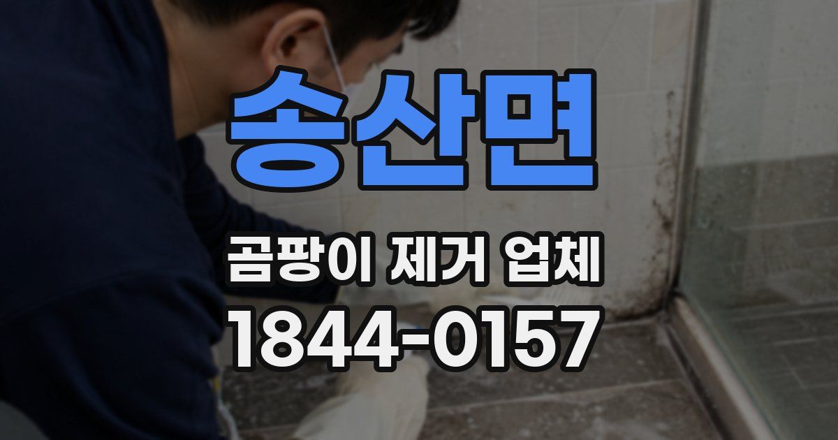 송산면 곰팡이 제거 업체