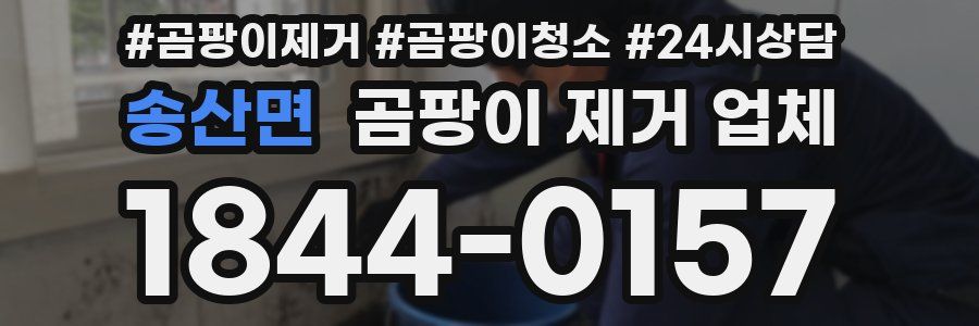 송산면 곰팡이 제거 업체
