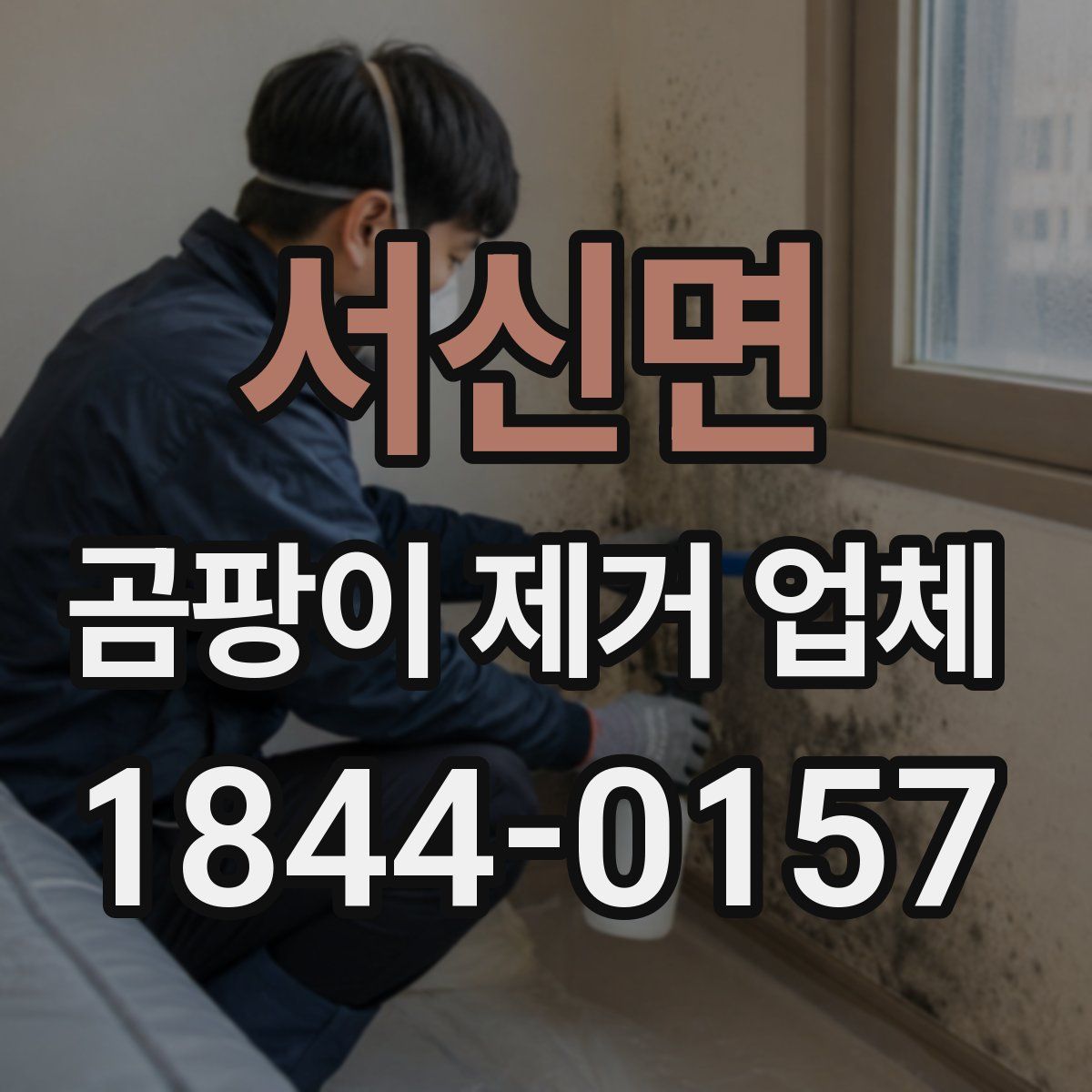 서신면 곰팡이 제거 업체