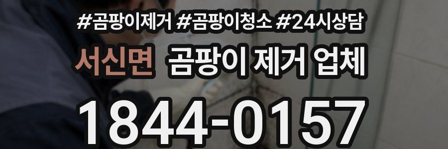 서신면 곰팡이 제거 업체