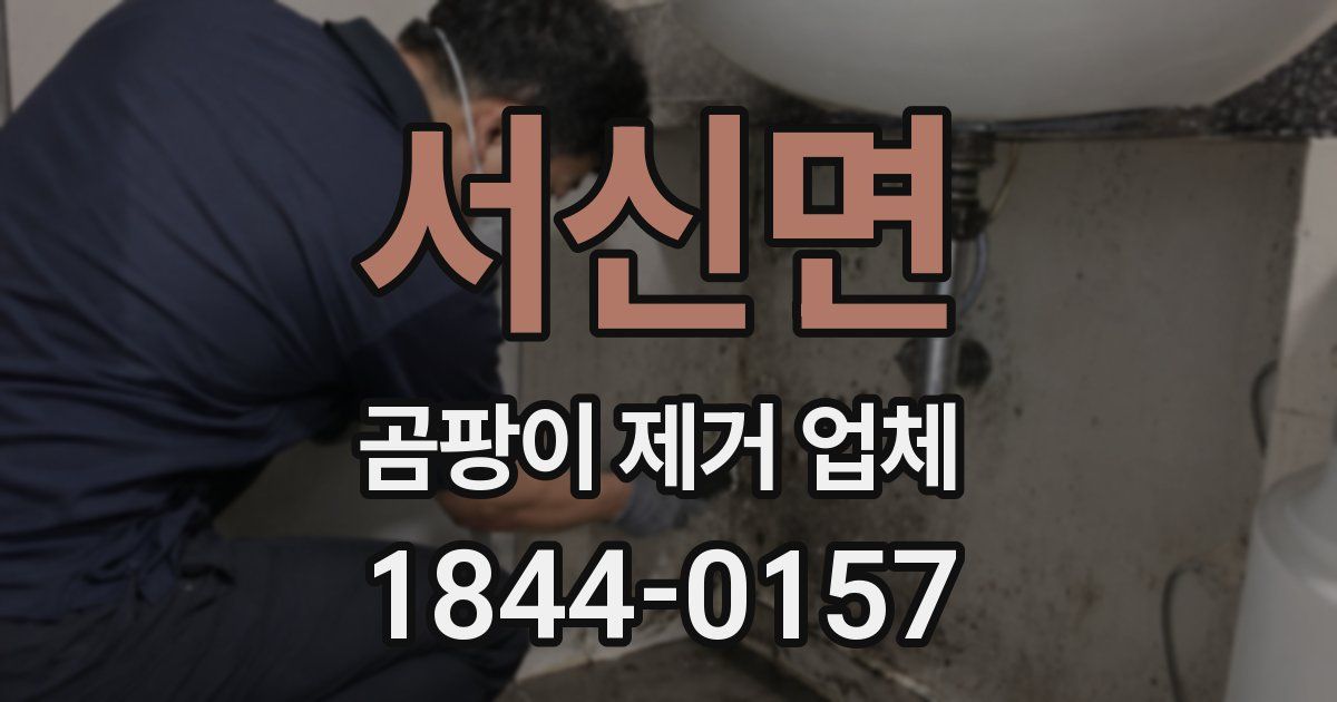 서신면 곰팡이 제거 업체