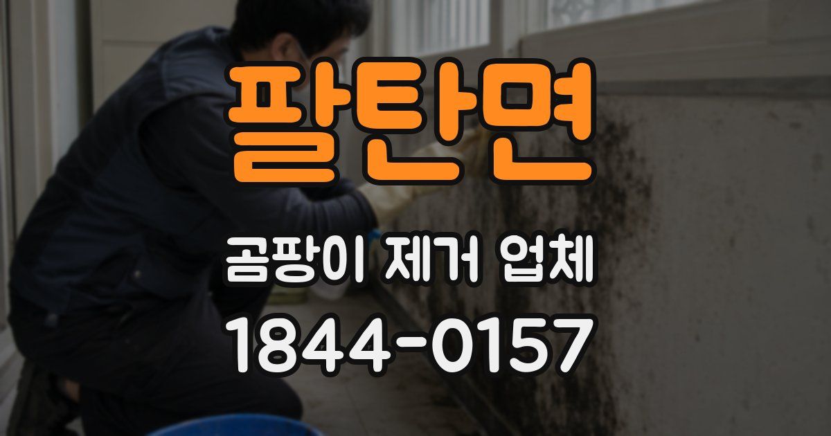 팔탄면 곰팡이 제거 업체