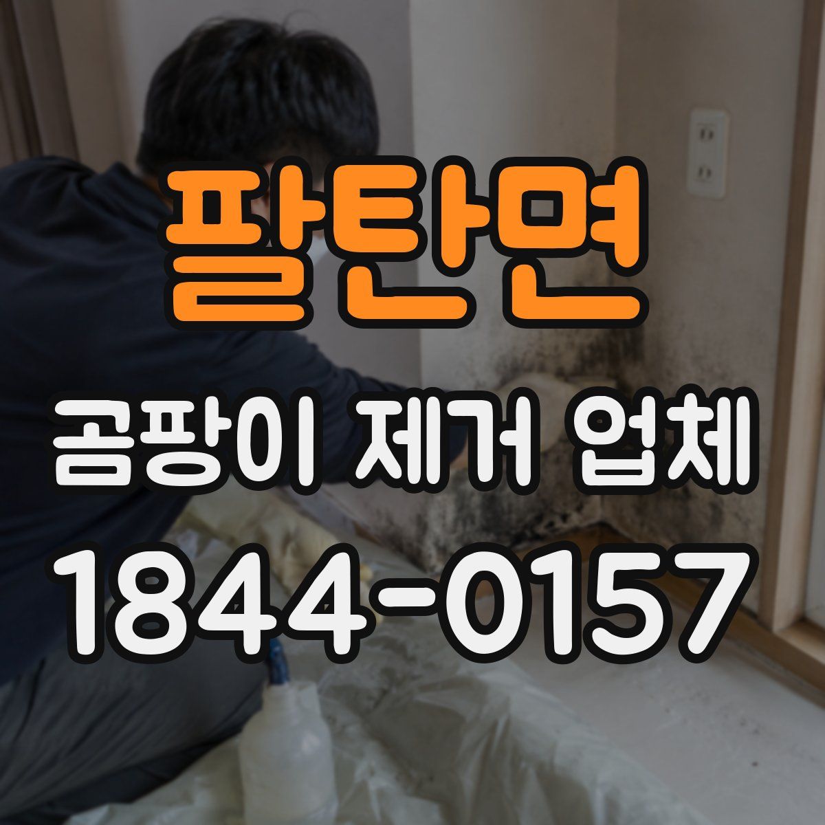 팔탄면 곰팡이 제거 업체