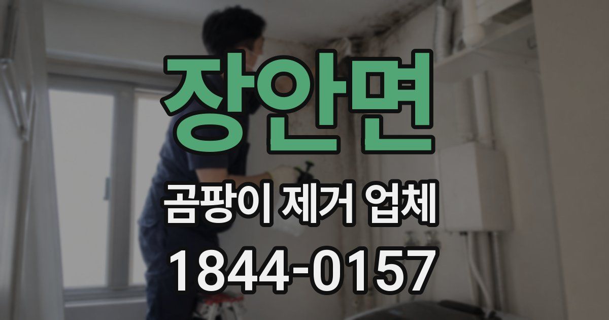 장안면 곰팡이 제거 업체