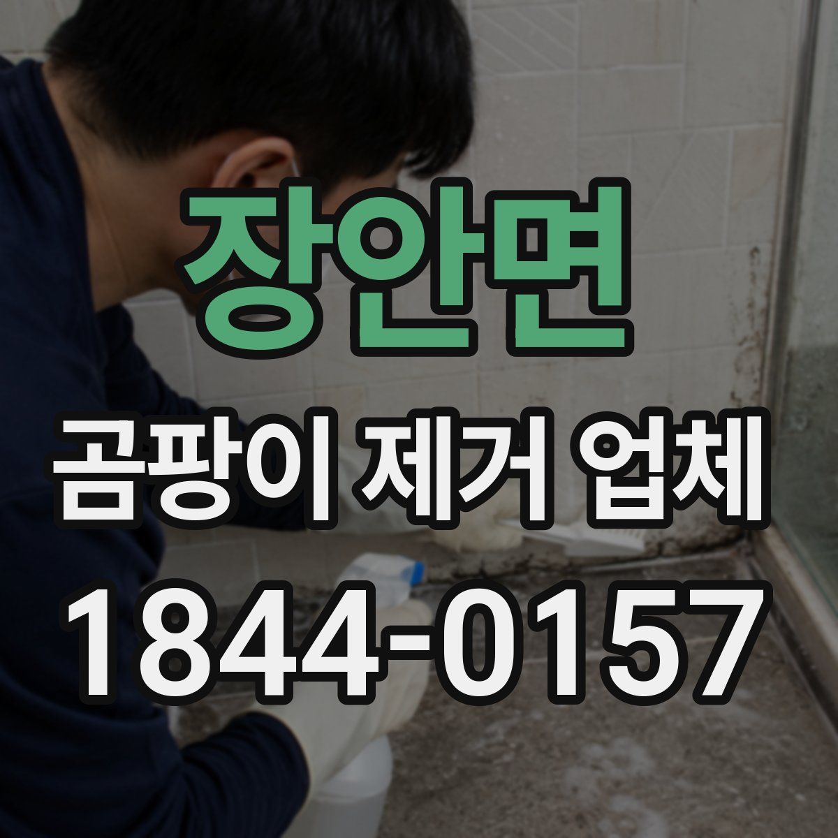 장안면 곰팡이 제거 업체