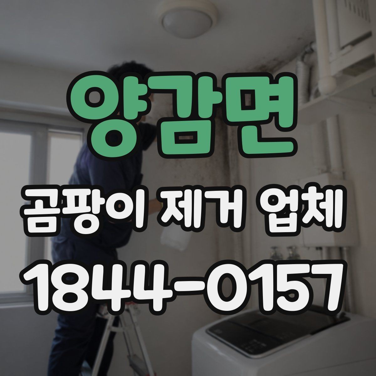 양감면 곰팡이 제거 업체 사진 비교로 보는 전후 상태와 손상 정도