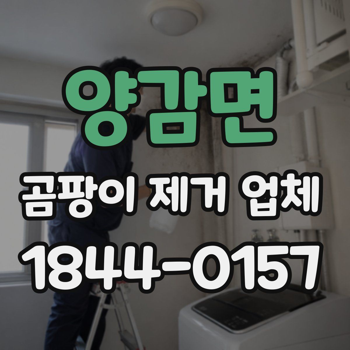 양감면 곰팡이 제거 업체