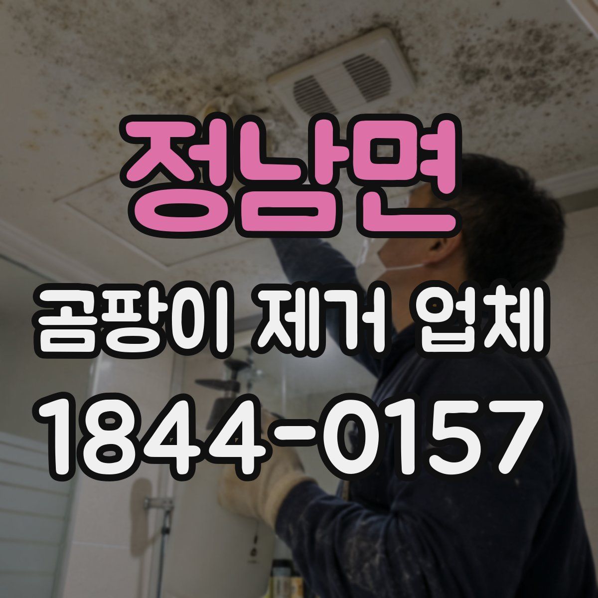 정남면 곰팡이 제거 업체