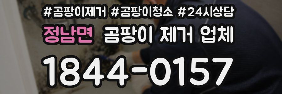 정남면 곰팡이 제거 업체