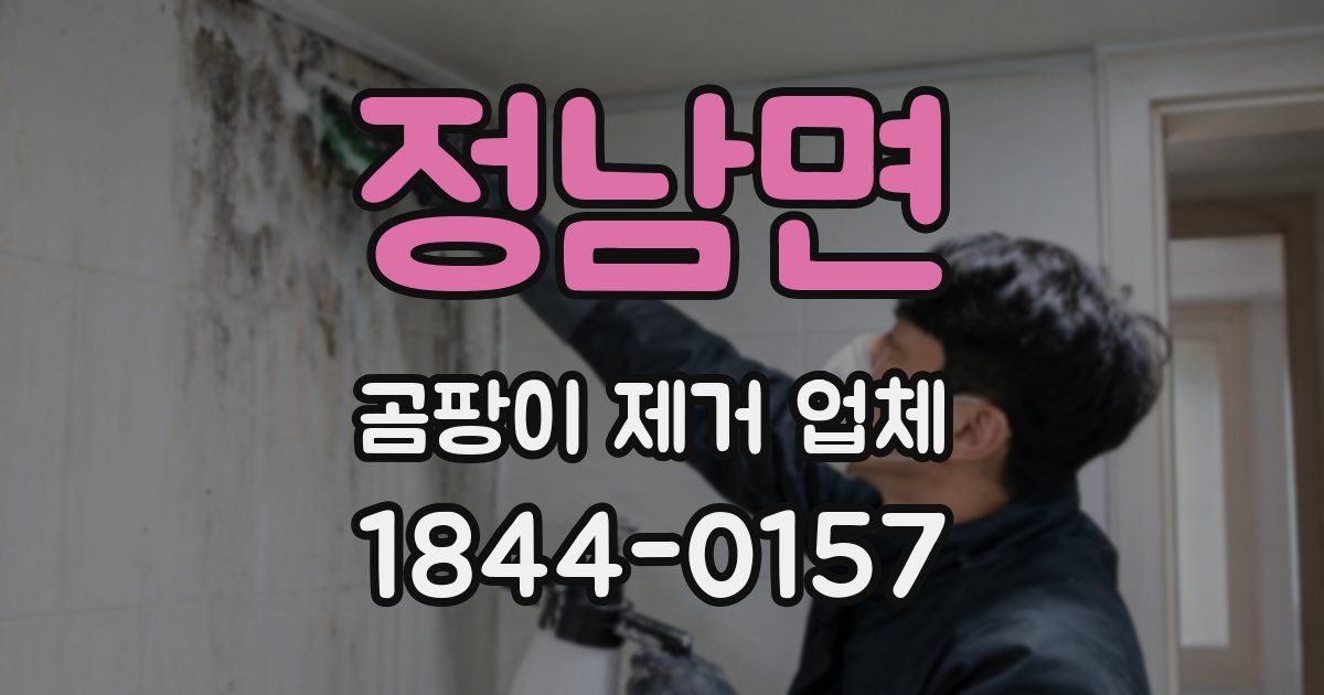 정남면 곰팡이 제거 업체