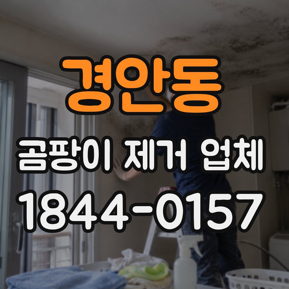 경안동 곰팡이 제거 업체