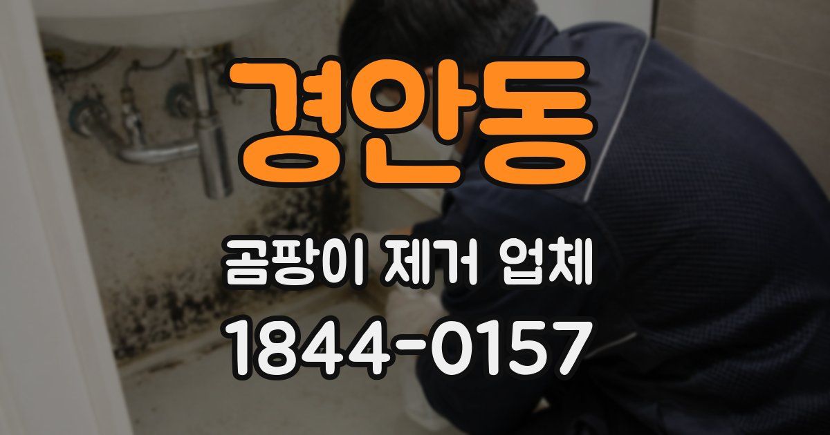 경안동 곰팡이 제거 업체