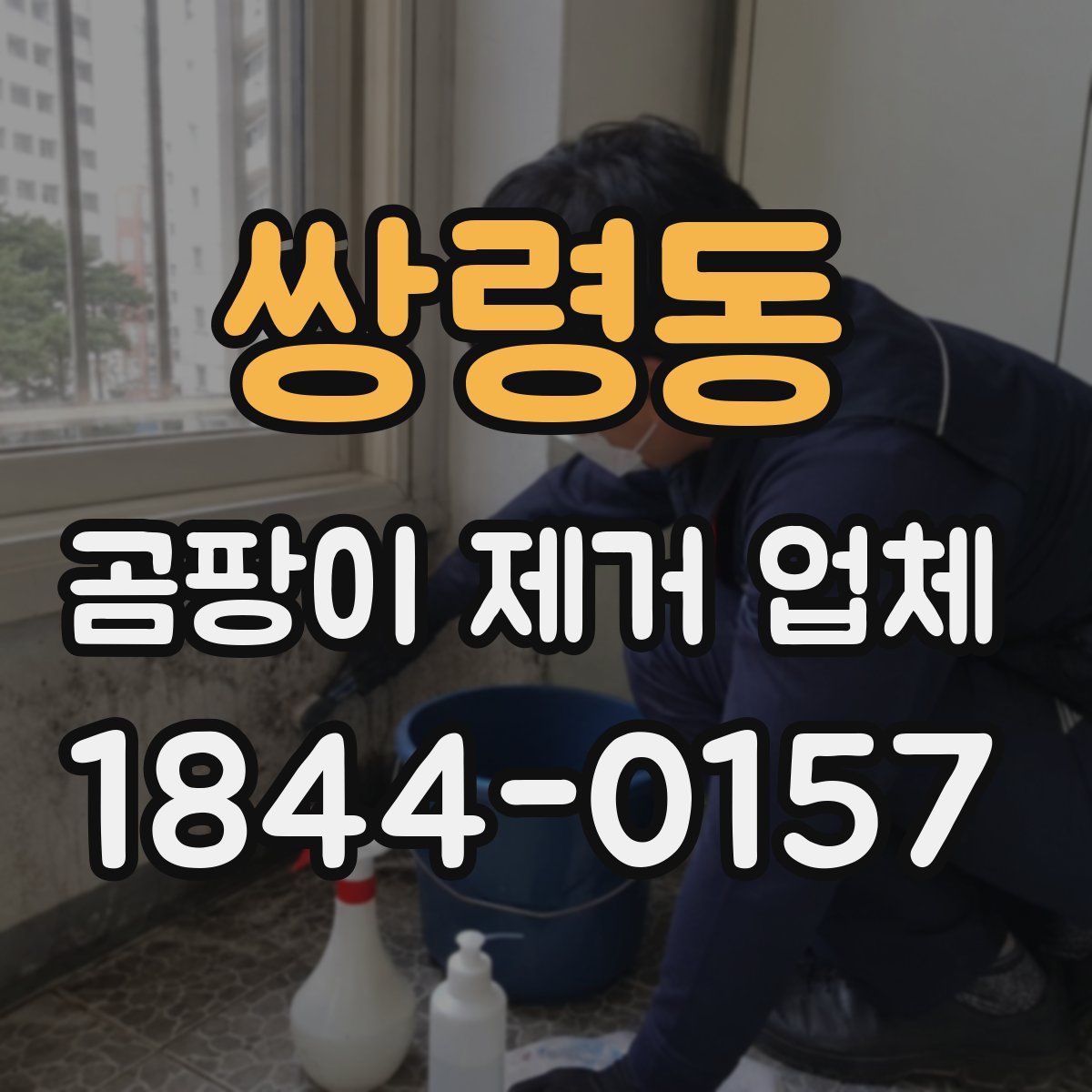 쌍령동 곰팡이 제거 업체
