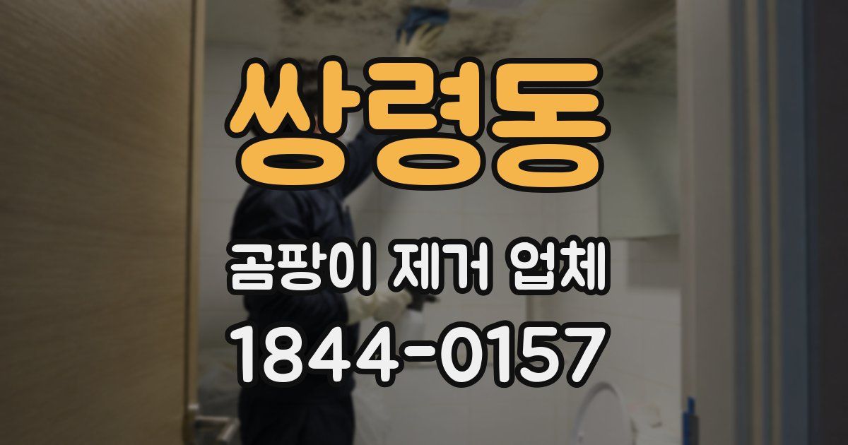 쌍령동 곰팡이 제거 업체