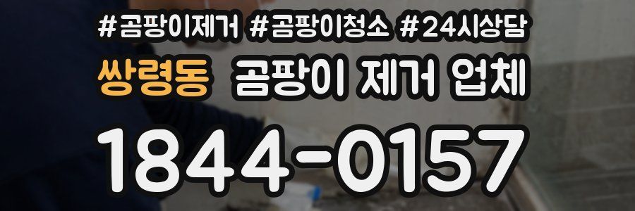 쌍령동 곰팡이 제거 업체