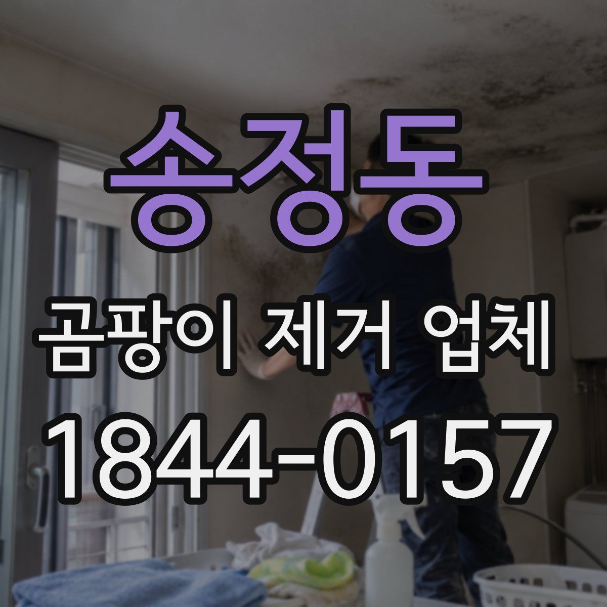 송정동 곰팡이 제거 업체