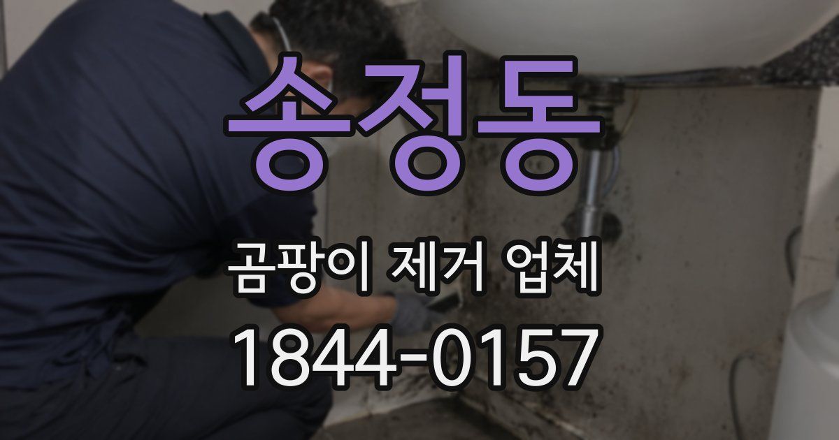 송정동 곰팡이 제거 업체