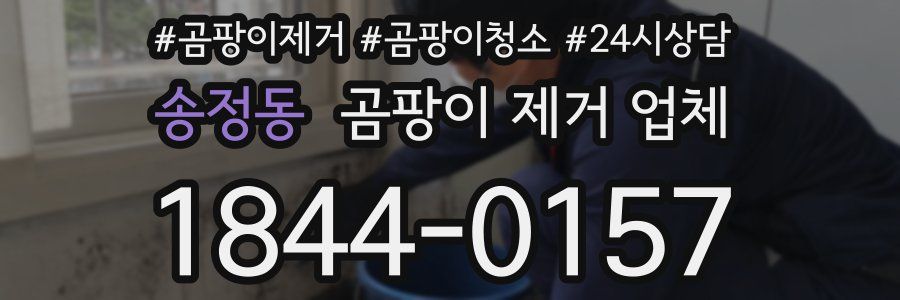 송정동 곰팡이 제거 업체