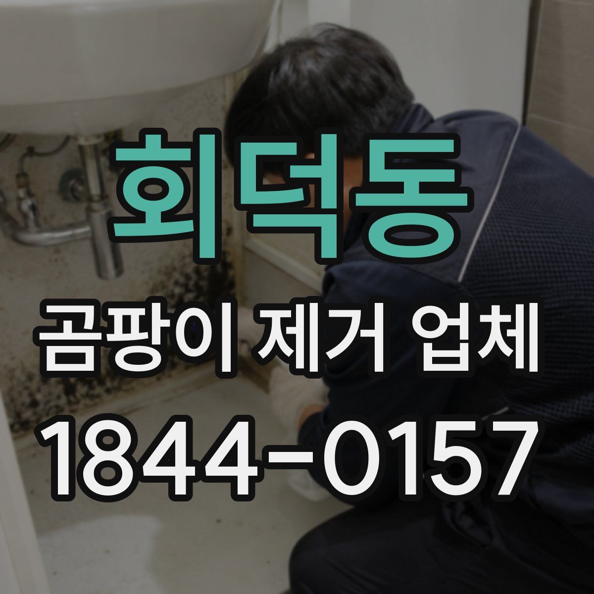 회덕동 곰팡이 제거 업체