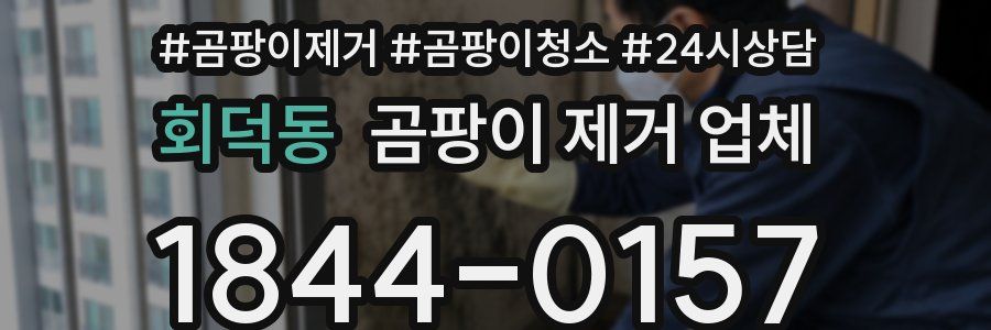 회덕동 곰팡이 제거 업체