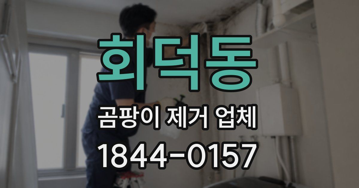 회덕동 곰팡이 제거 업체